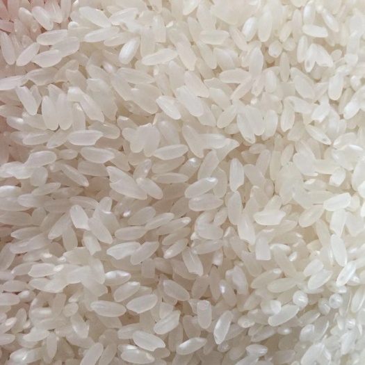 宁安市石板大米 一等品 一季稻 粳米 响水大米 一等品 一季稻 粳米