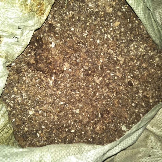 新兴县纯鸡粪可喂鱼喂虾