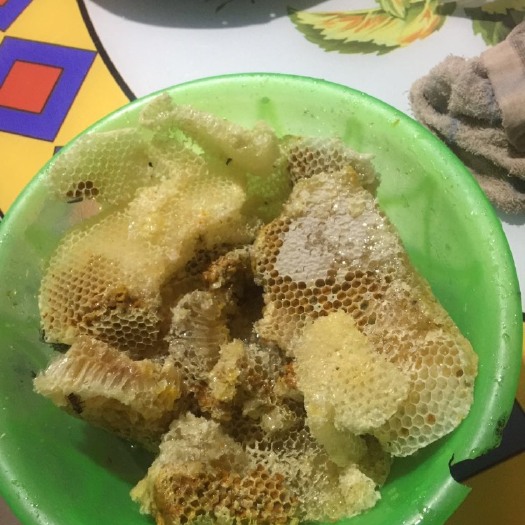 龙岩土蜂蜜 