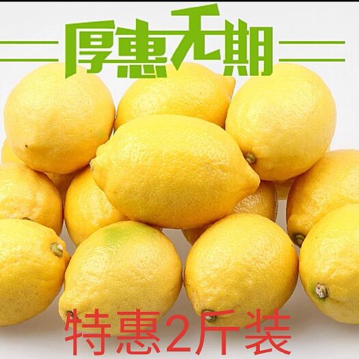 安岳县安岳柠檬 2 - 2.6两