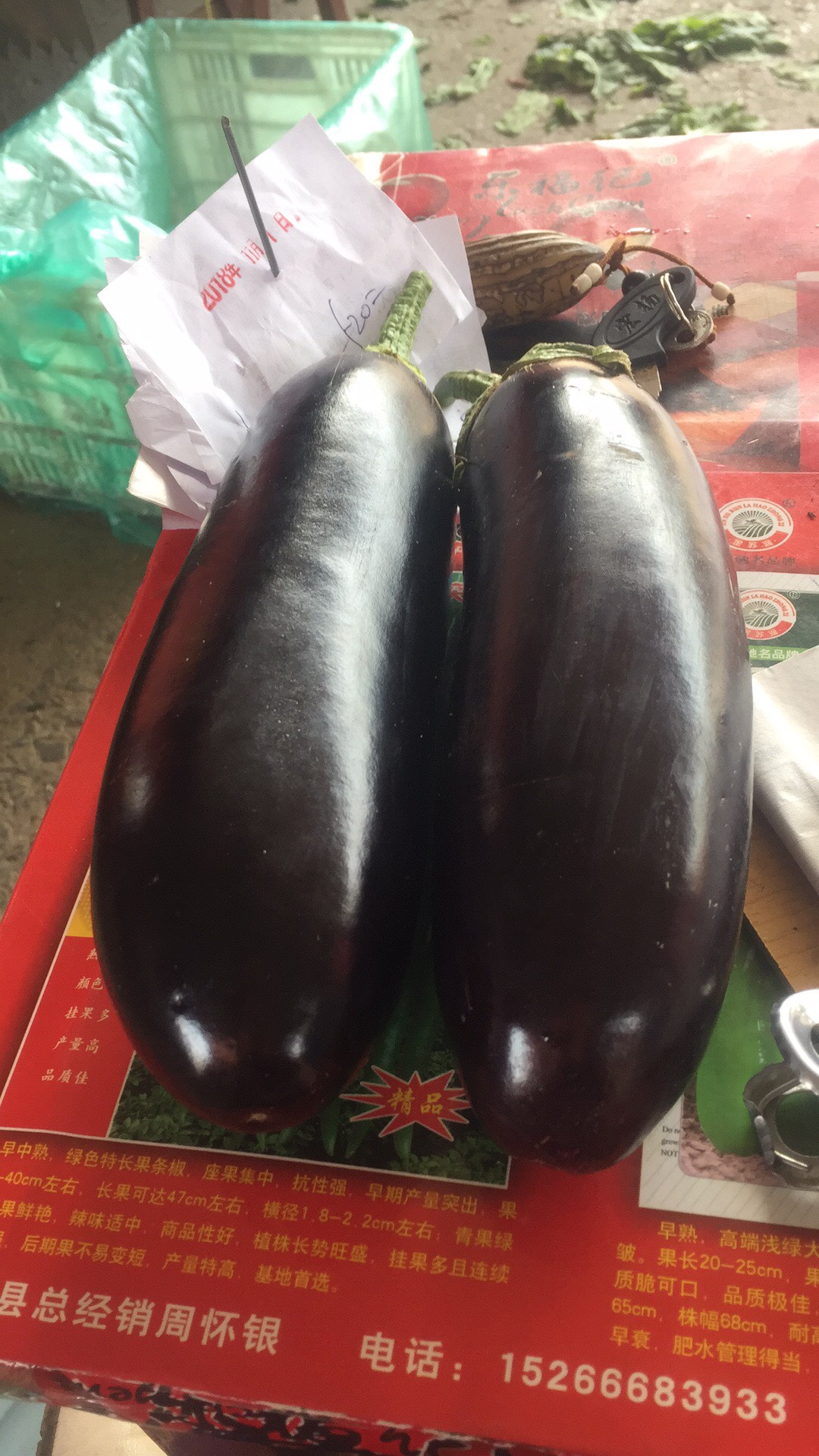 765长茄 20~30cm 长茄 