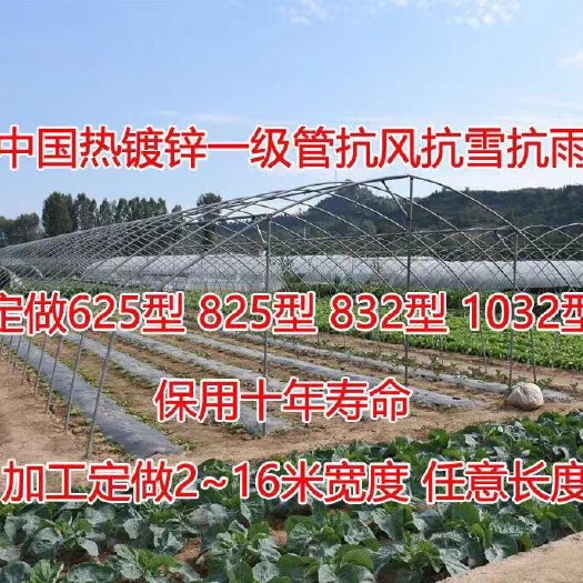 沭阳县单体棚 