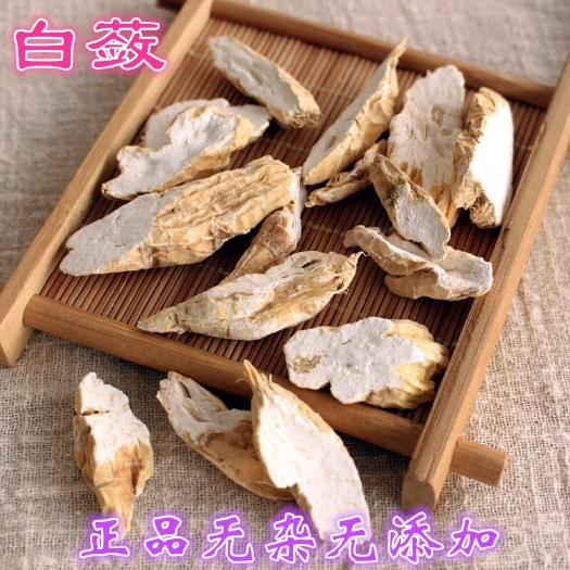玉林白蔹 