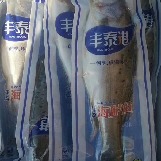 开原市海鲈鱼 