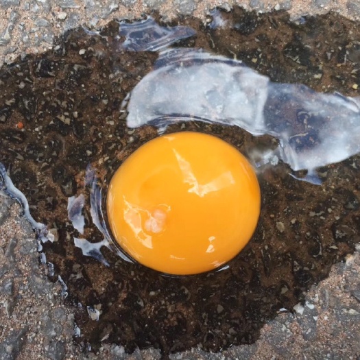 安宁市乌鸡蛋 箱装 食用 