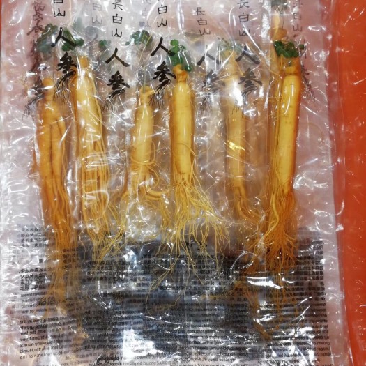 通化县长白山人参 单支真空包装，一颗毛重50克左右，保存时间更长