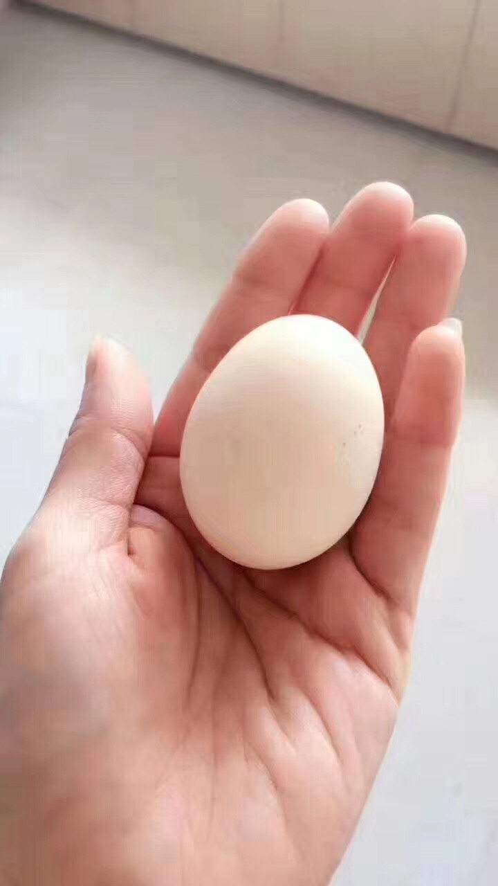 人 쵰۵