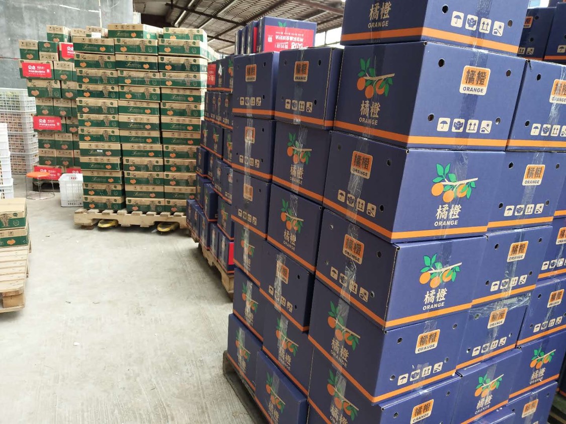  耙耙柑大量发货
