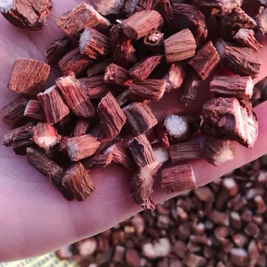通化县紫丹参，500g，泡茶，免费磨粉。