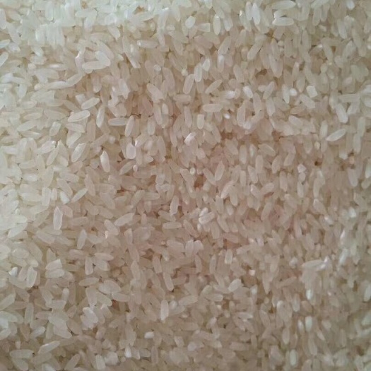 德惠市东北大米 一等品 一季稻 粳米 