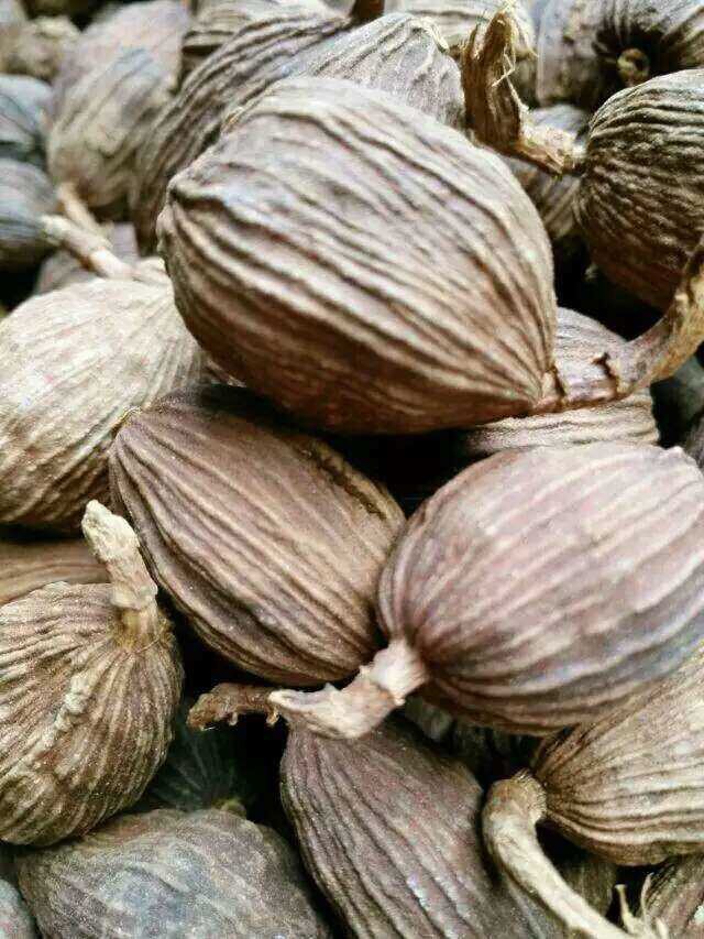 草果 