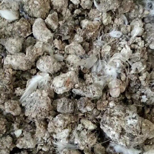枣阳市鸡粪 纯，自然晾晒干，