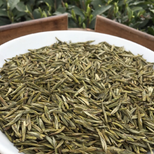 雅安蒙顶黄芽 特级 盒装 