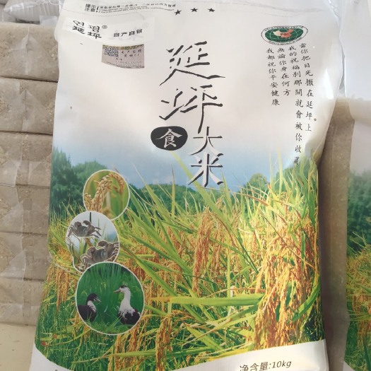延吉市延边大米 一季稻 一等品 粳米 