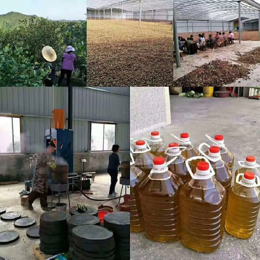 宜章县现榨山茶油 