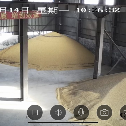 营口黑龙江大豆 生大豆 1等品 