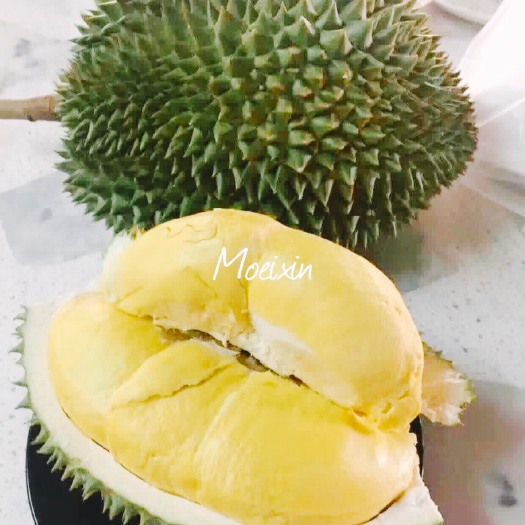 广州金枕榴莲肉