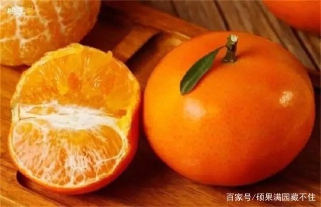 沃柑  供应的是一份诚诺，您的信任不会辜负您