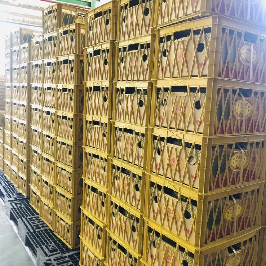 北京干荛榴莲 2 - 3公斤 30 - 40%以上 