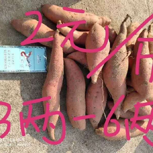 黄沙红薯 红皮 2两以下 