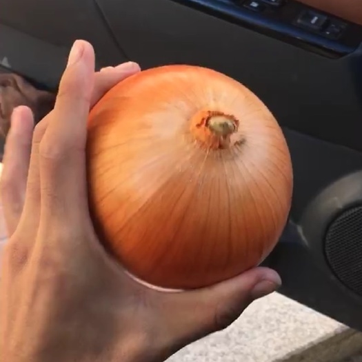 齐齐哈尔黄皮洋葱 7~8cm 