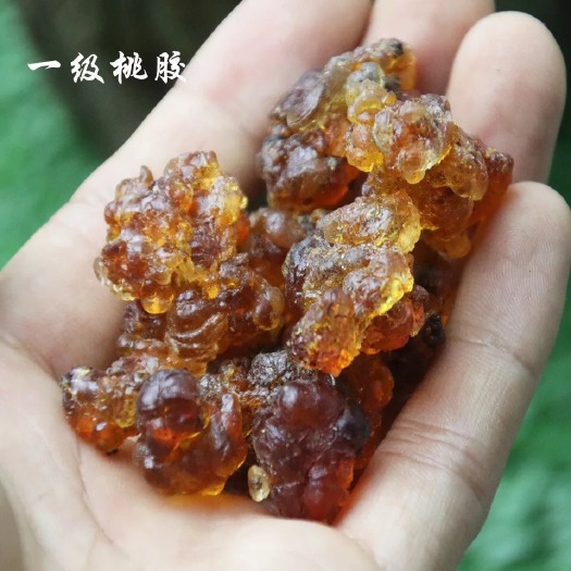 古田县一级红黄胶 桃胶 天然无硫