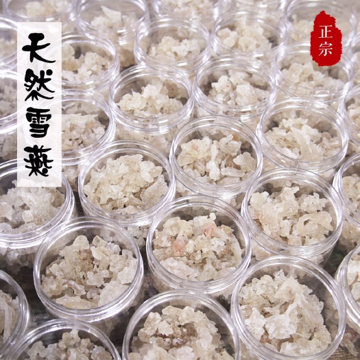 古田县雪燕 100g/罐缅甸拉丝