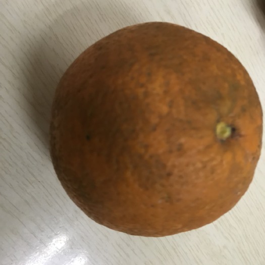 重庆市黄橘子 2 - 3两 4 - 4.5cm 