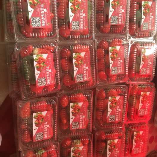 呼和浩特红颜草莓 20克以上 