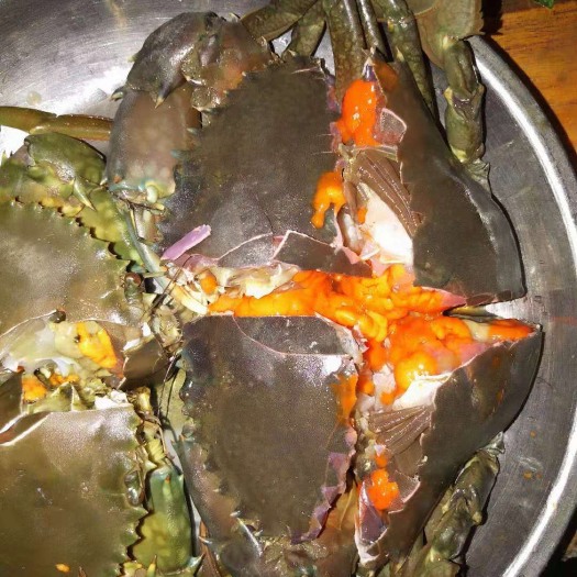 东兴市青蟹 3.5-4.0两 母蟹 