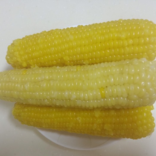 佳木斯冻干玉米  速冻糯玉米 12-18个月