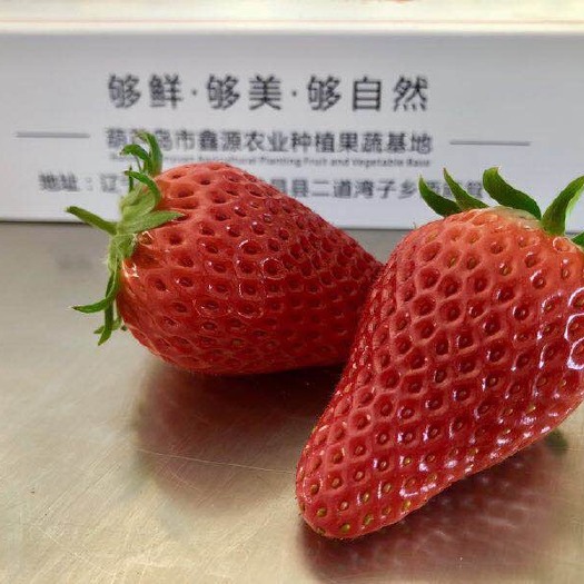 建昌县韩国永熙草莓 20克以下 