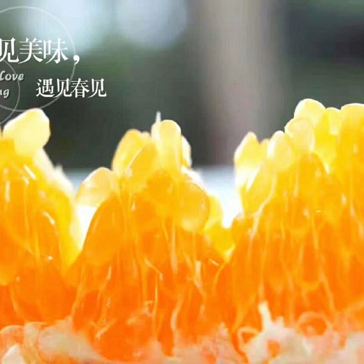 青神县耙耙柑 ＞8cm 5两以上 