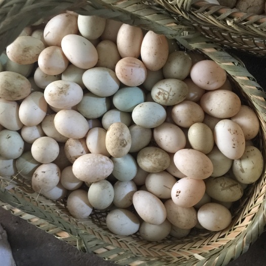 南陵县土鸭蛋 散装 食用 