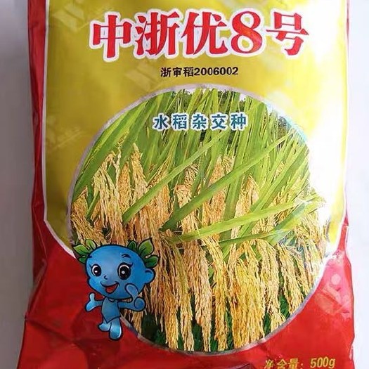 靖州县中浙优8号大米 一等品 中稻 籼米 