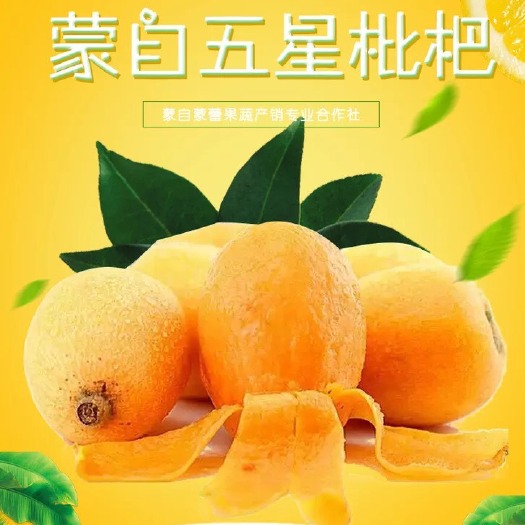 漳州蒙自枇杷 0.4 - 0.7两 
