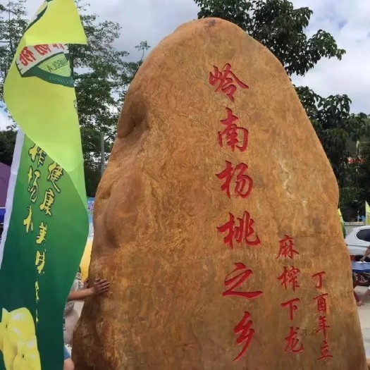 龙门县甜杨桃 2 - 3两 