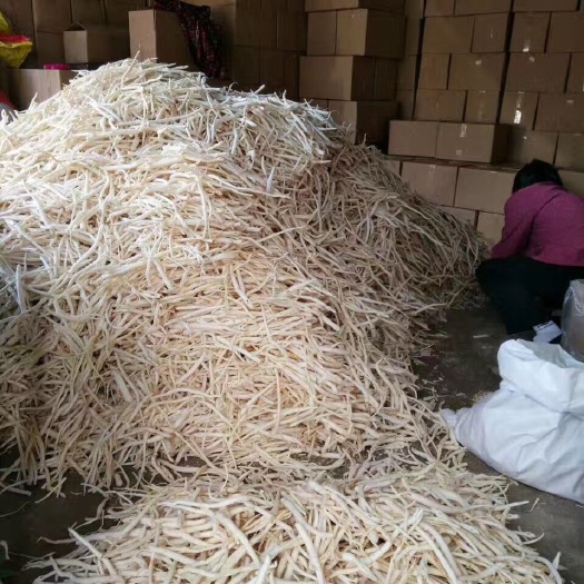 苍溪县 沙参
