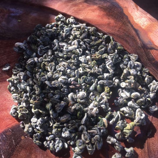 思茅高山绿茶 2020年头水春茶、碧螺春！欢迎尝鲜