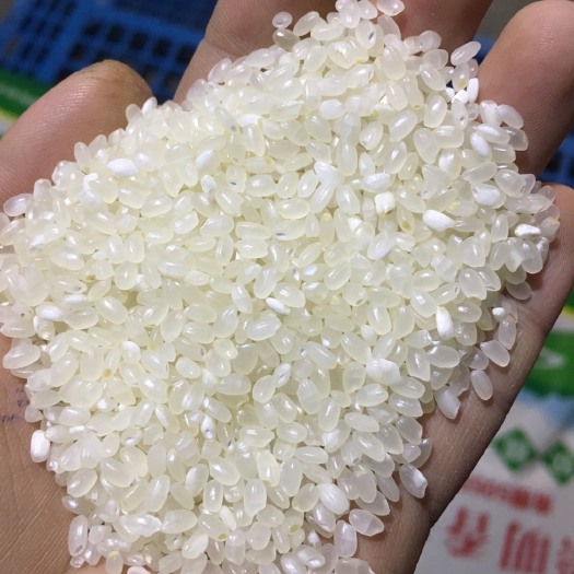 如东县南粳9108大米 二等品 晚稻 粳米 