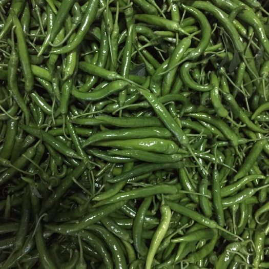 博白县尖椒 15~20cm 中辣 靑色 