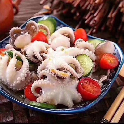 连云港八爪鱼 