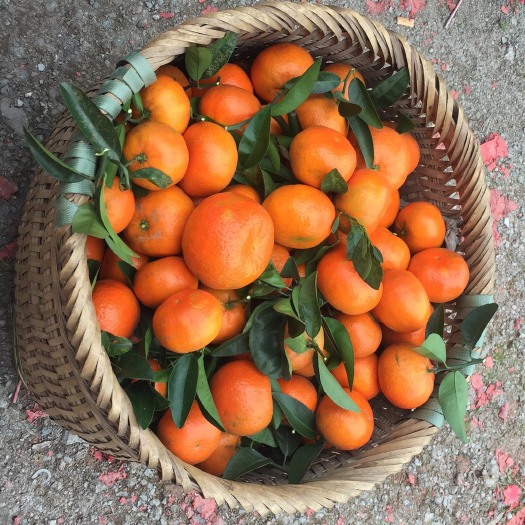 重庆市默科特，果品好