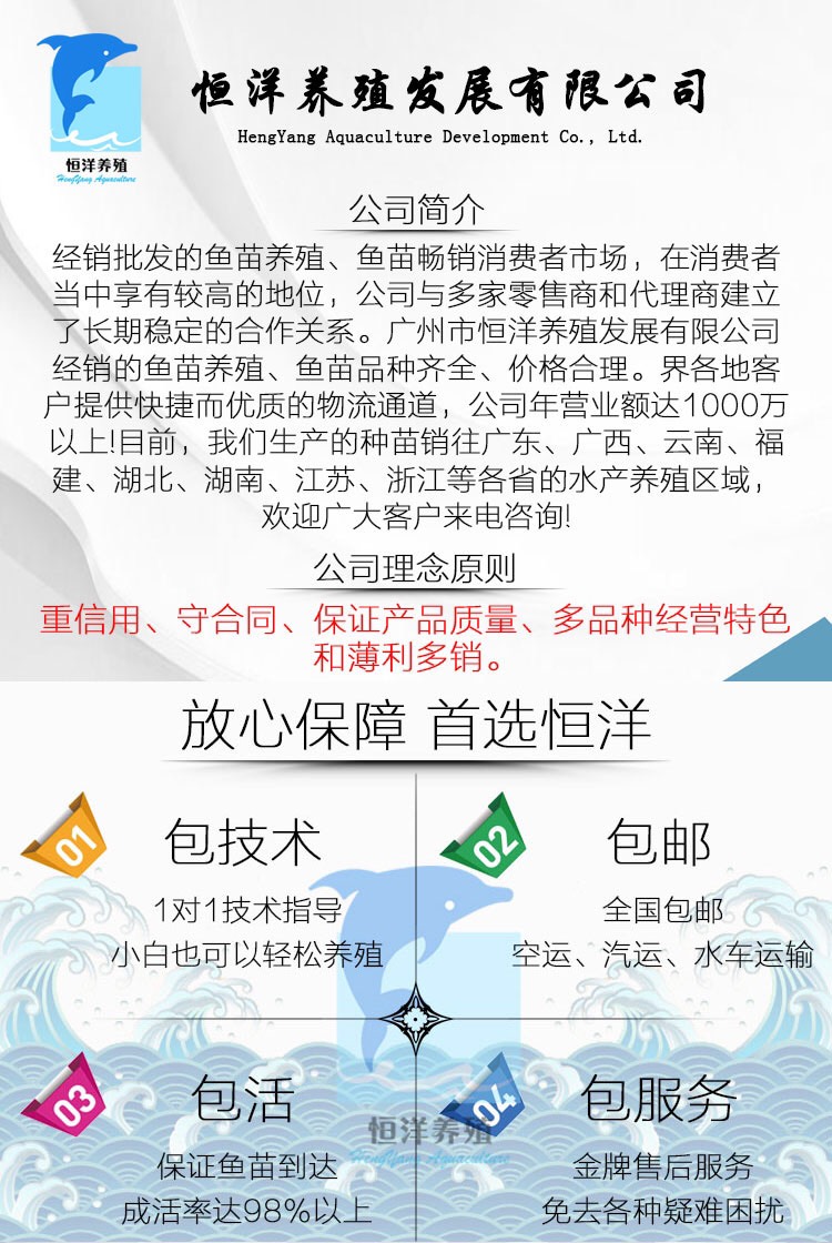 武昌鱼苗 