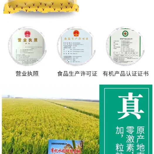 新民市东北大米 一等品 粳米 晚稻 