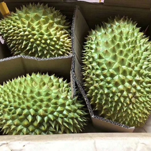 凭祥市干荛榴莲 60 - 70%以上 2 - 3公斤 