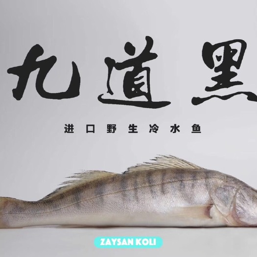 上海冷冻梭鲈鱼 