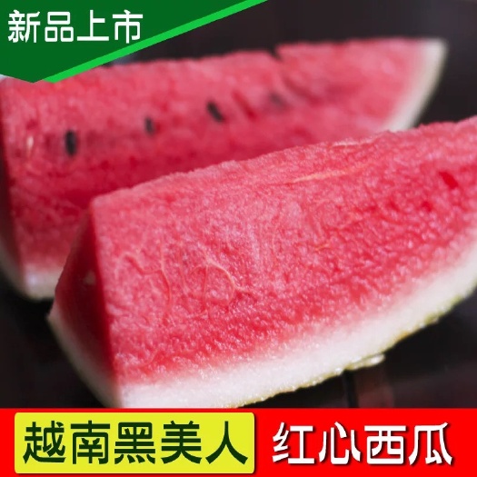 上林县 精品越南黑美人西瓜