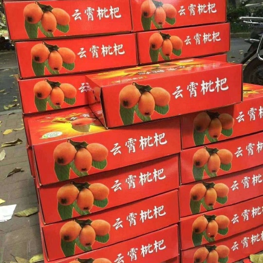 云霄县云霄枇杷 0.4两以下 