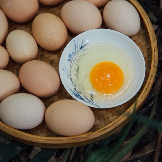 瑞安市土鸡蛋 散装 食用 